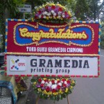 bunga papan congratulations type E (1)