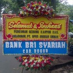 bunga papan congratulations type E (3)